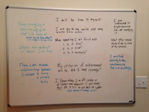 The Sara Manifesto 2014